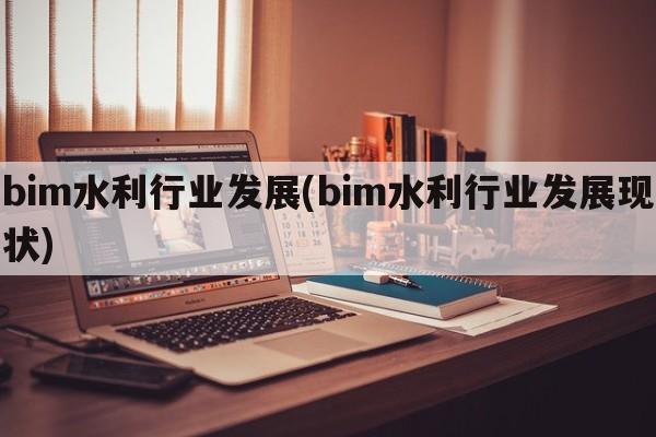 bim水利行业发展(bim水利行业发展现状)